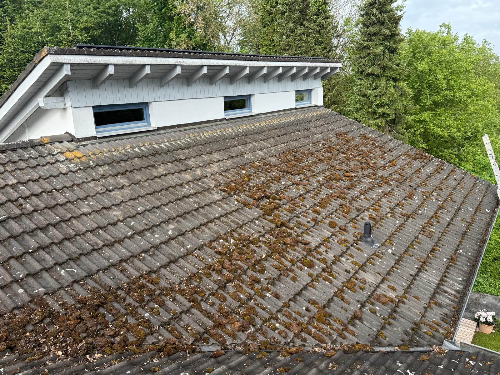Dach vorher